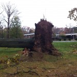 Hurricane Sandy Destruction 2